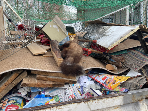 Abbruch von Gartenmauer 96167 Königsfeld-Kotzendorf Firma Welz