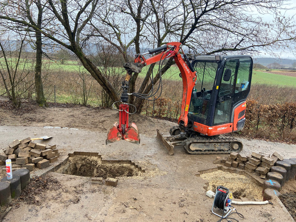 Baum entfernen 96138 Mönchherrnsdorf Firma Welz