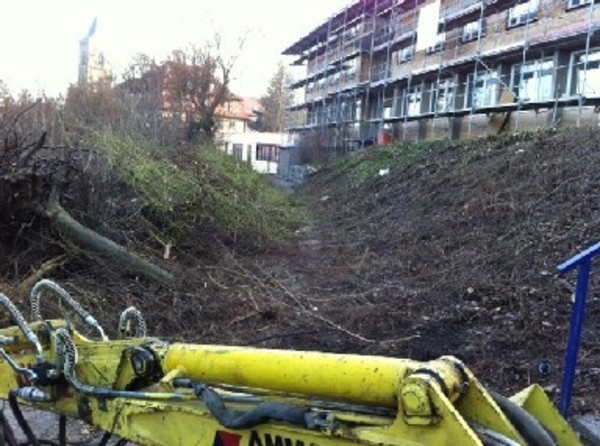 Mulch arbeiten 96110 Demmelsdorf Firma Welz