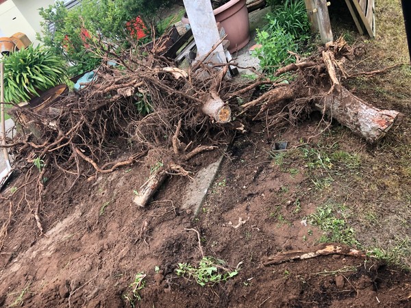 Wurzelstockentfernung 96110 Neudorf-bei-Scheßlitz Firma Welz