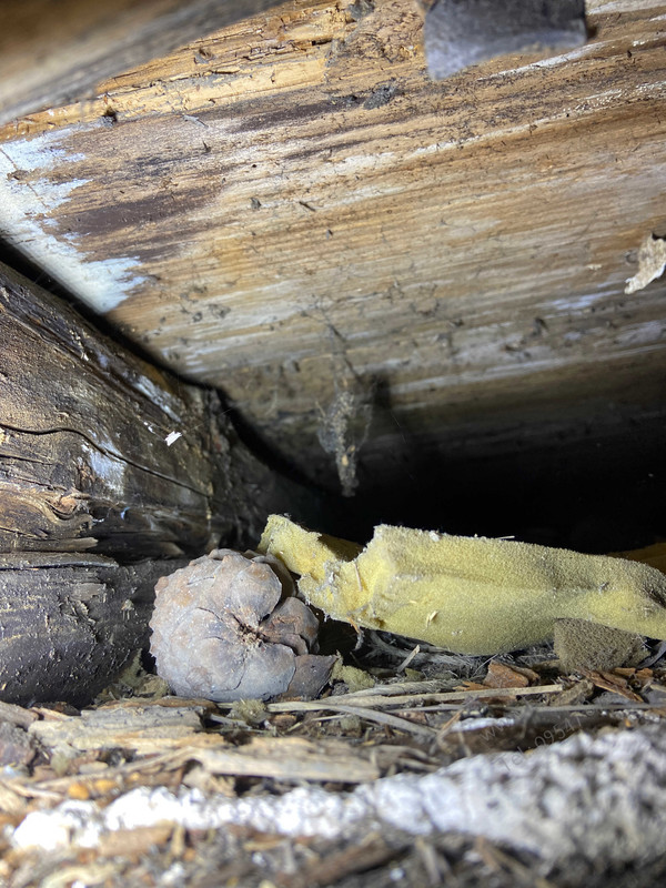 Landwirtschaftliches Anwesen ausräumen 96271 Grub Firma Welz