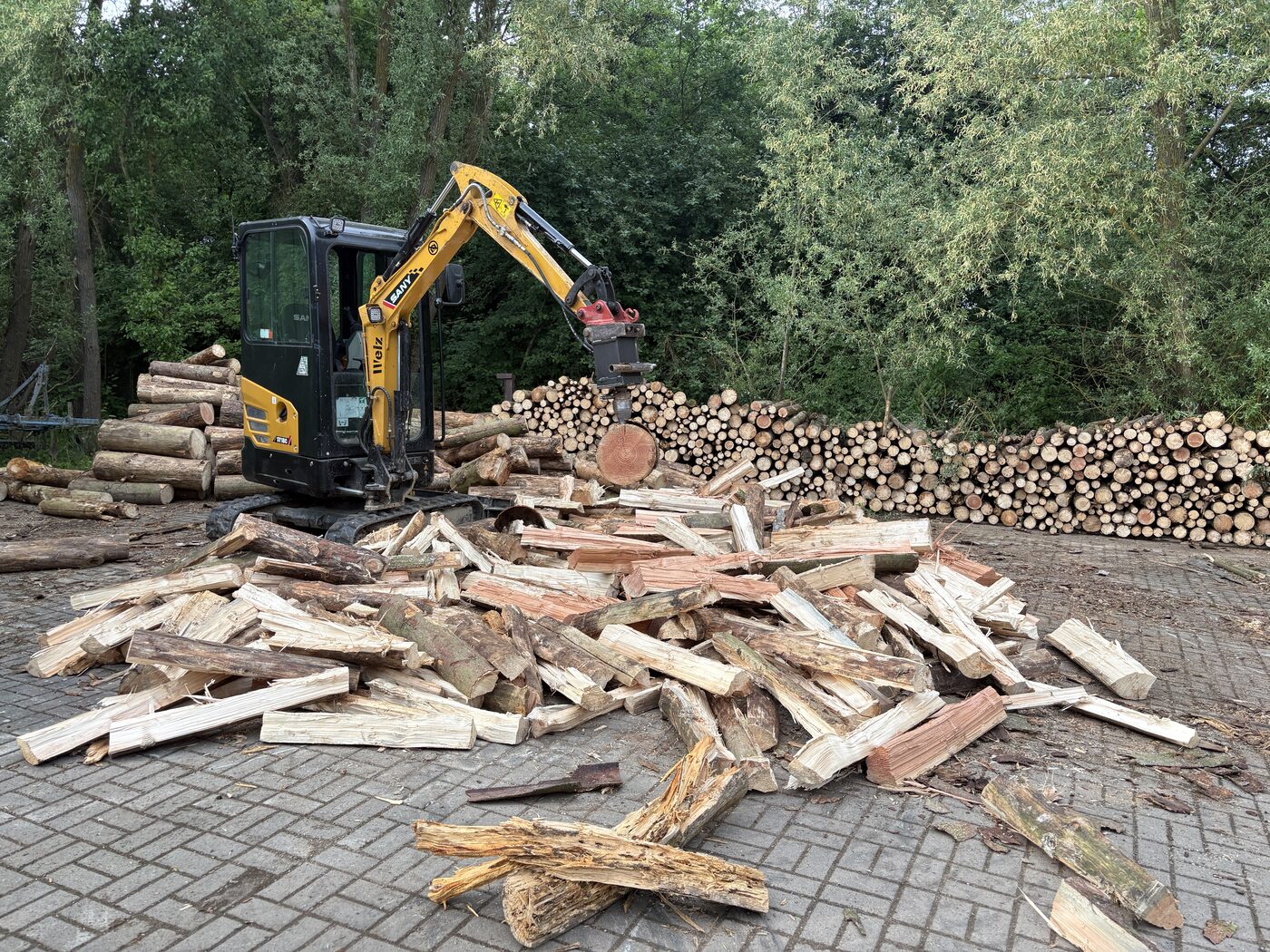 Rodung brennholz baggerarbeiten – Firma Welz Haus und Wohnungsauflösung in Bamberg und der Umgebung 