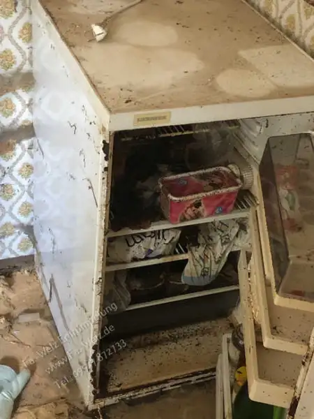 Wohnungsentrümpelung-Bamberg-Haushaltsauflösung-Bamberg-Entrümpelung-Bamberg-Welz24