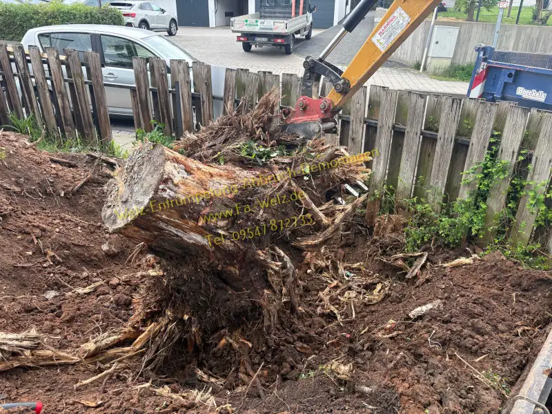Entsorgung-Abbruch-Baggerarbeiten-Welz-Bamberg-Entrümpelungsfirma-Firma-Entrümpelung-Wohnungsauflösung-Lichtenfels-Coburg-Hassberge1