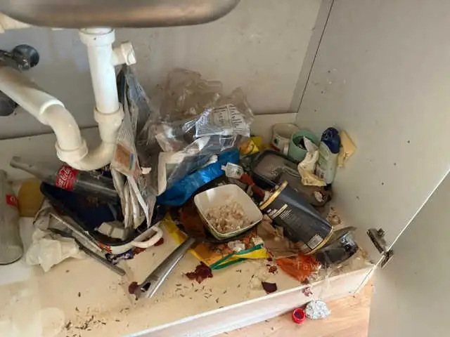 Verschmutzter Unterschrank gereinigt – vorher und nachher (vorher)